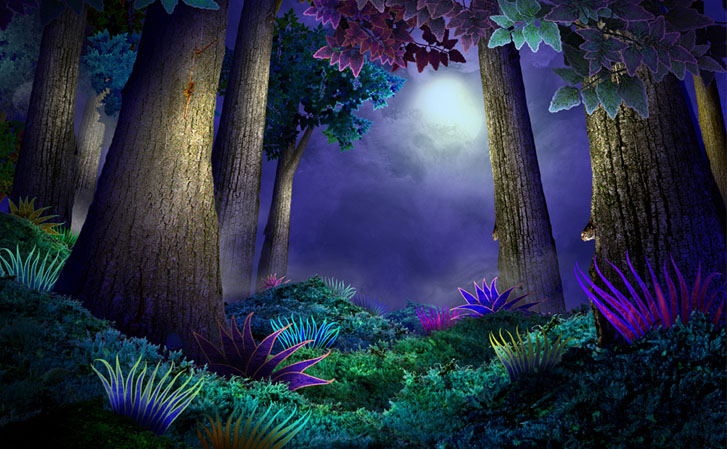Petites illuminations
