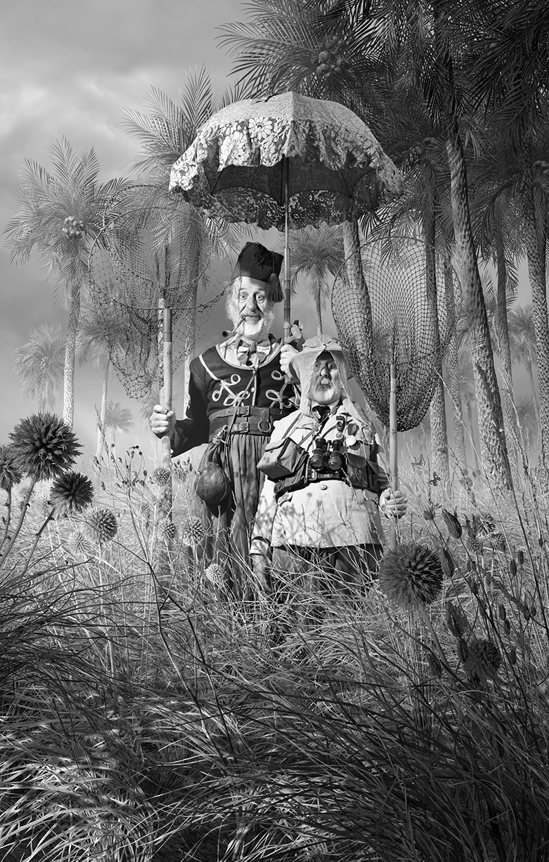 La chasse aux papillons